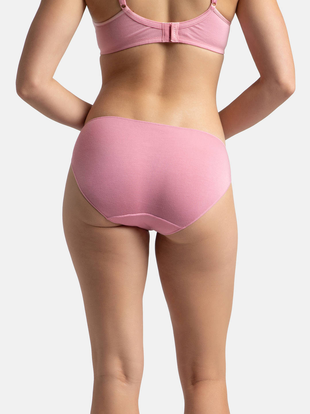 Cashmere Rose
